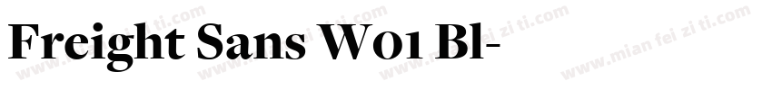 Freight Sans W01 Bl字体转换